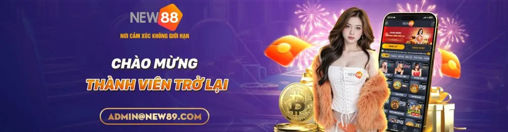 Chương trình VIP v999