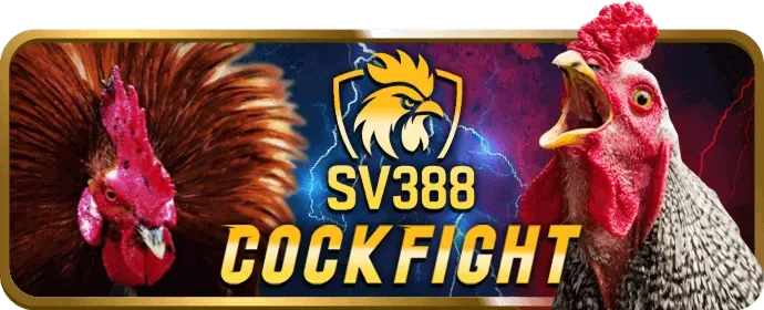 Tải ứng dụng v999 và hỗ trợ khách hàng